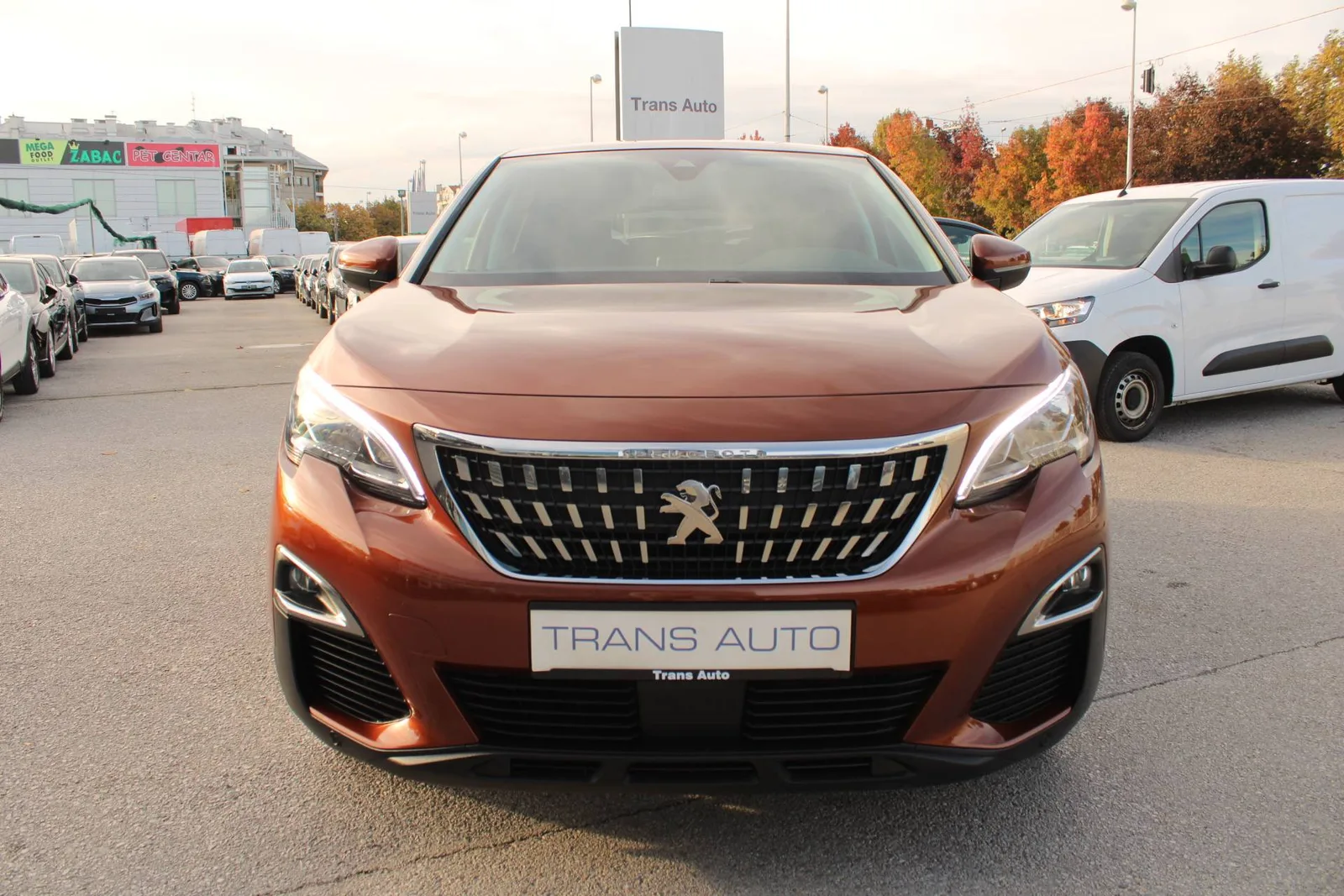 Peugeot 3008 2019: fotografija 2