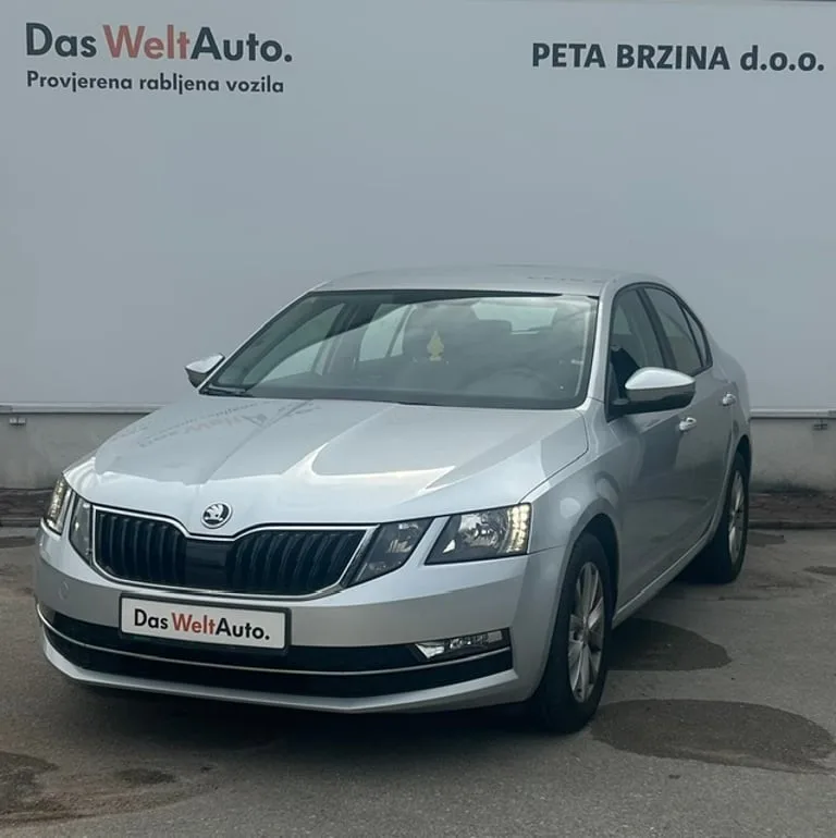 Škoda Octavia 2019: fotografija 1