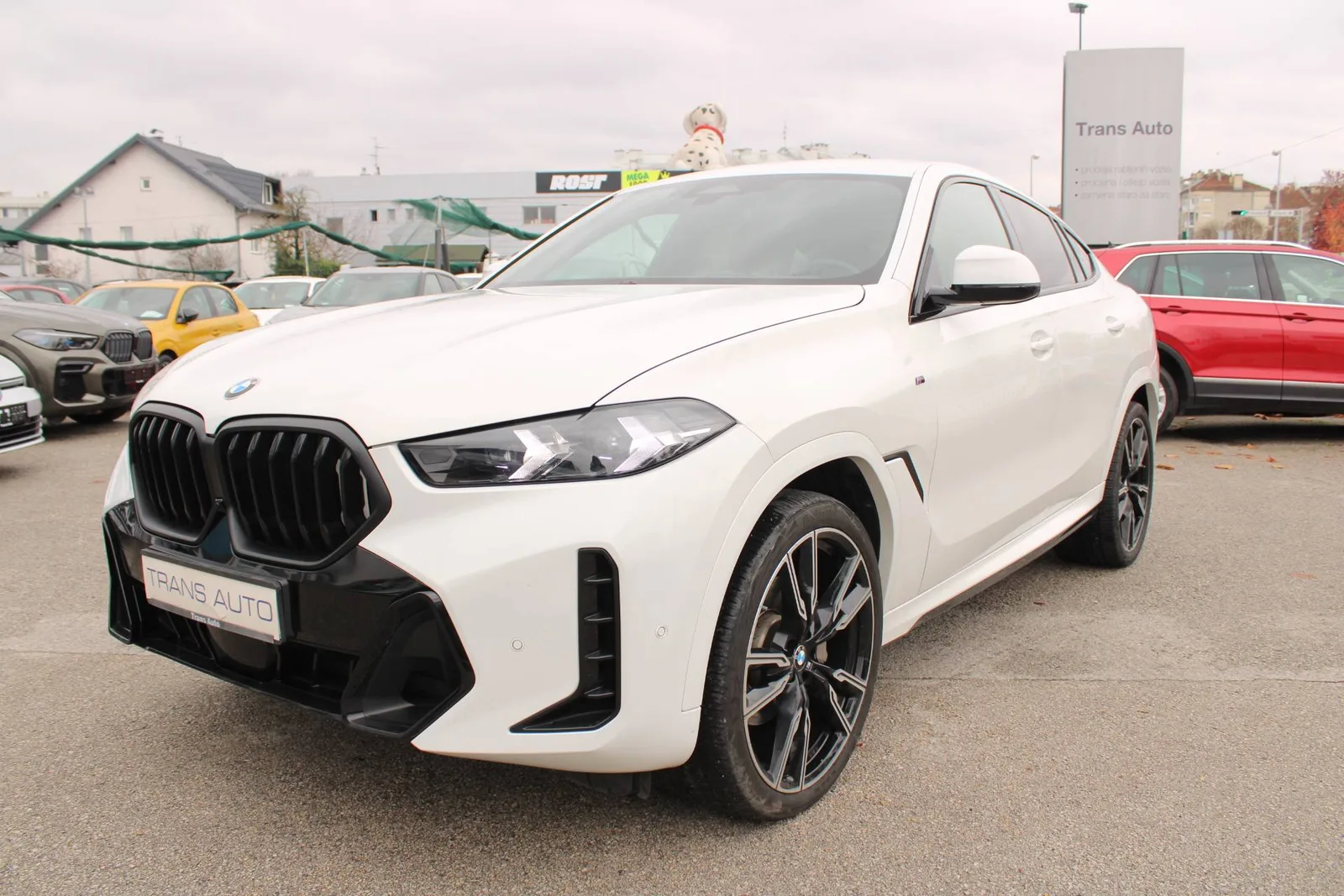 BMW X6