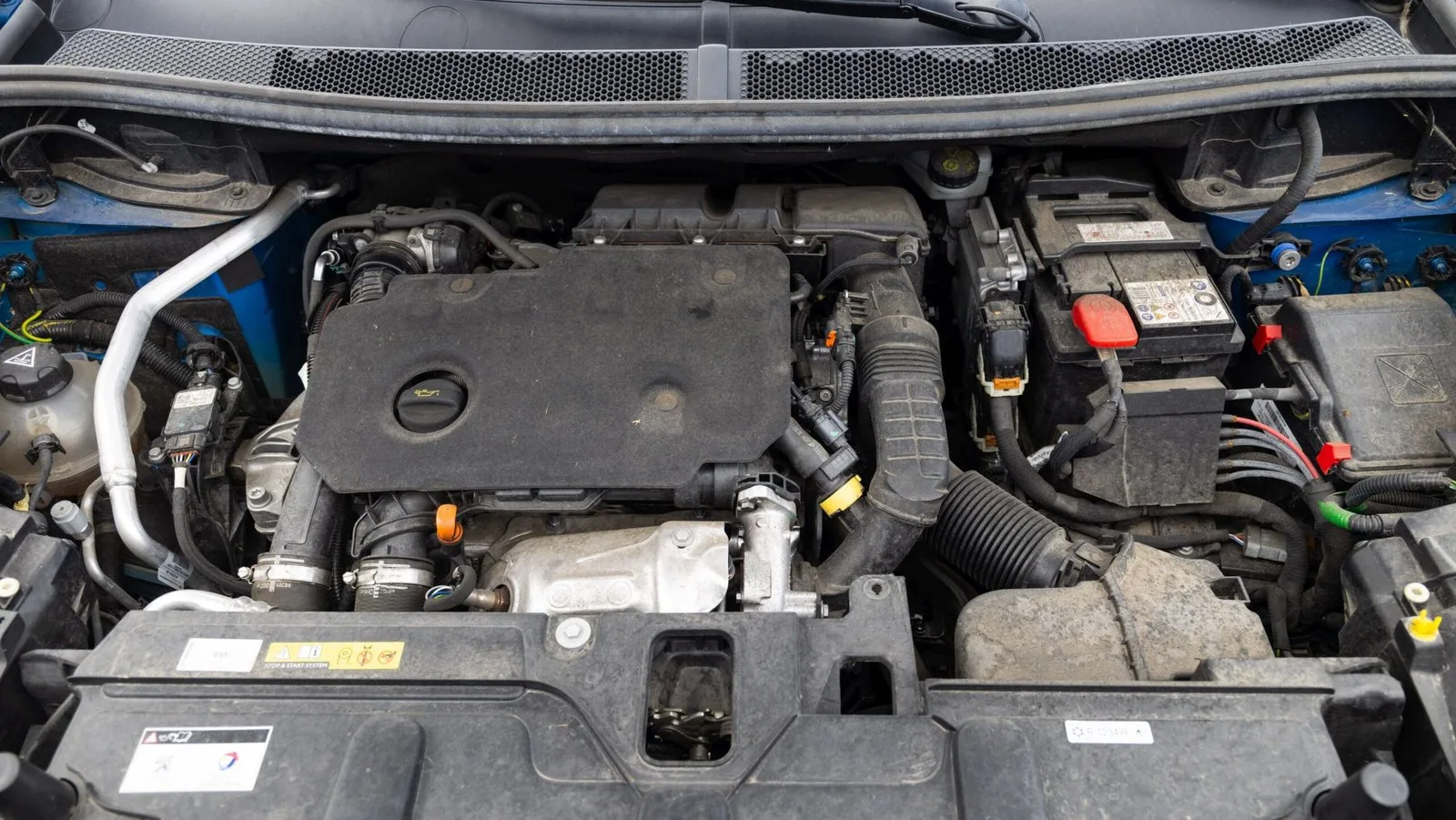 Peugeot 3008 2021: fotografija 26