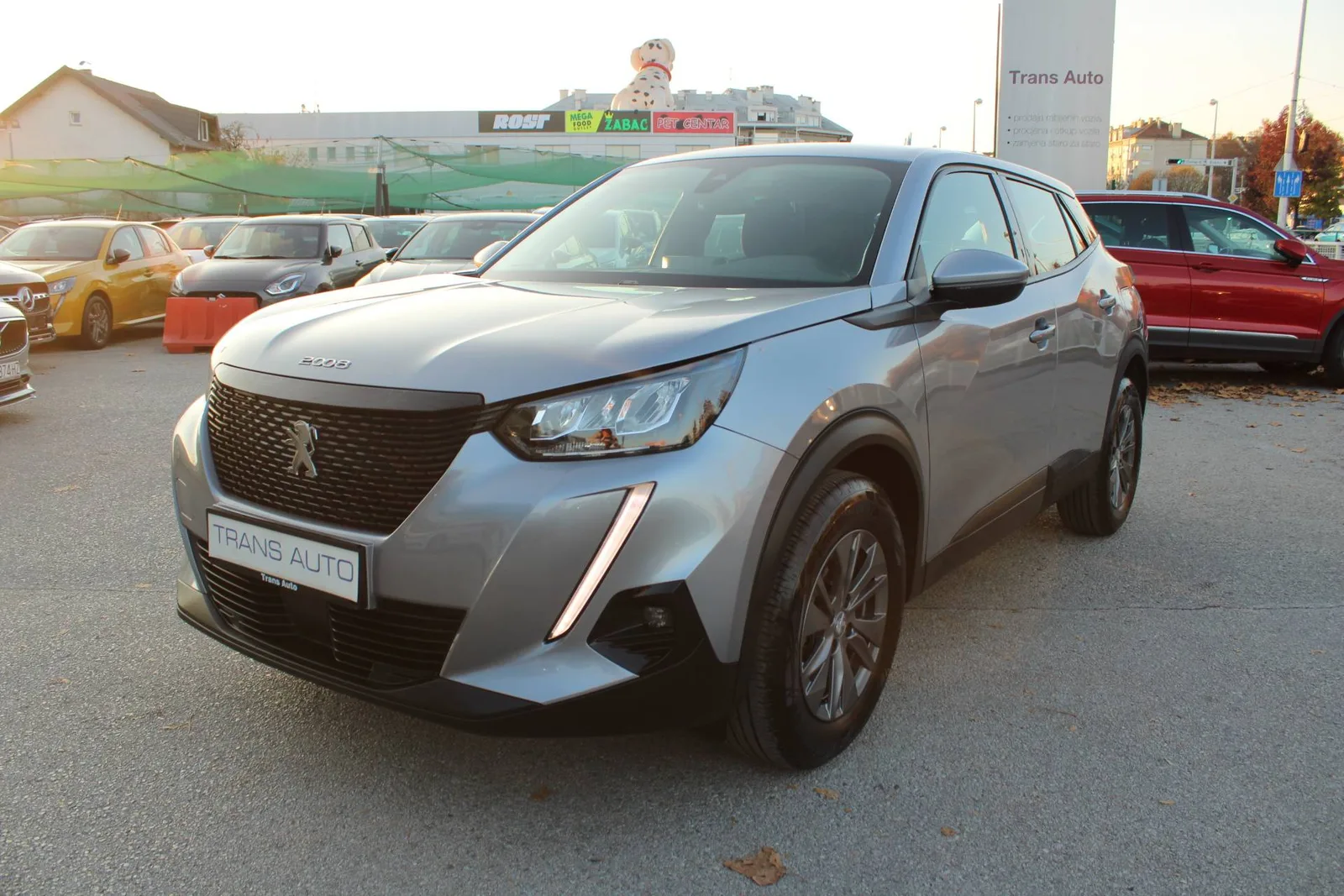 Peugeot 2008 2020: fotografija 1