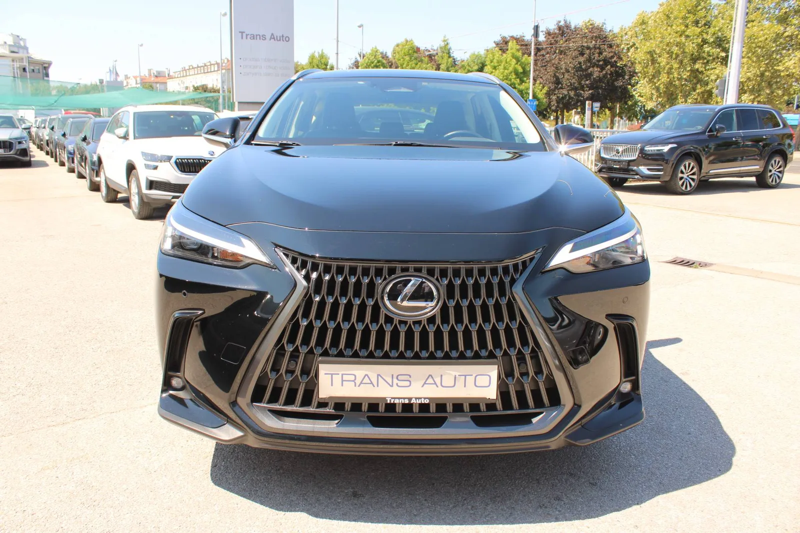 Lexus NX 2023: fotografija 2